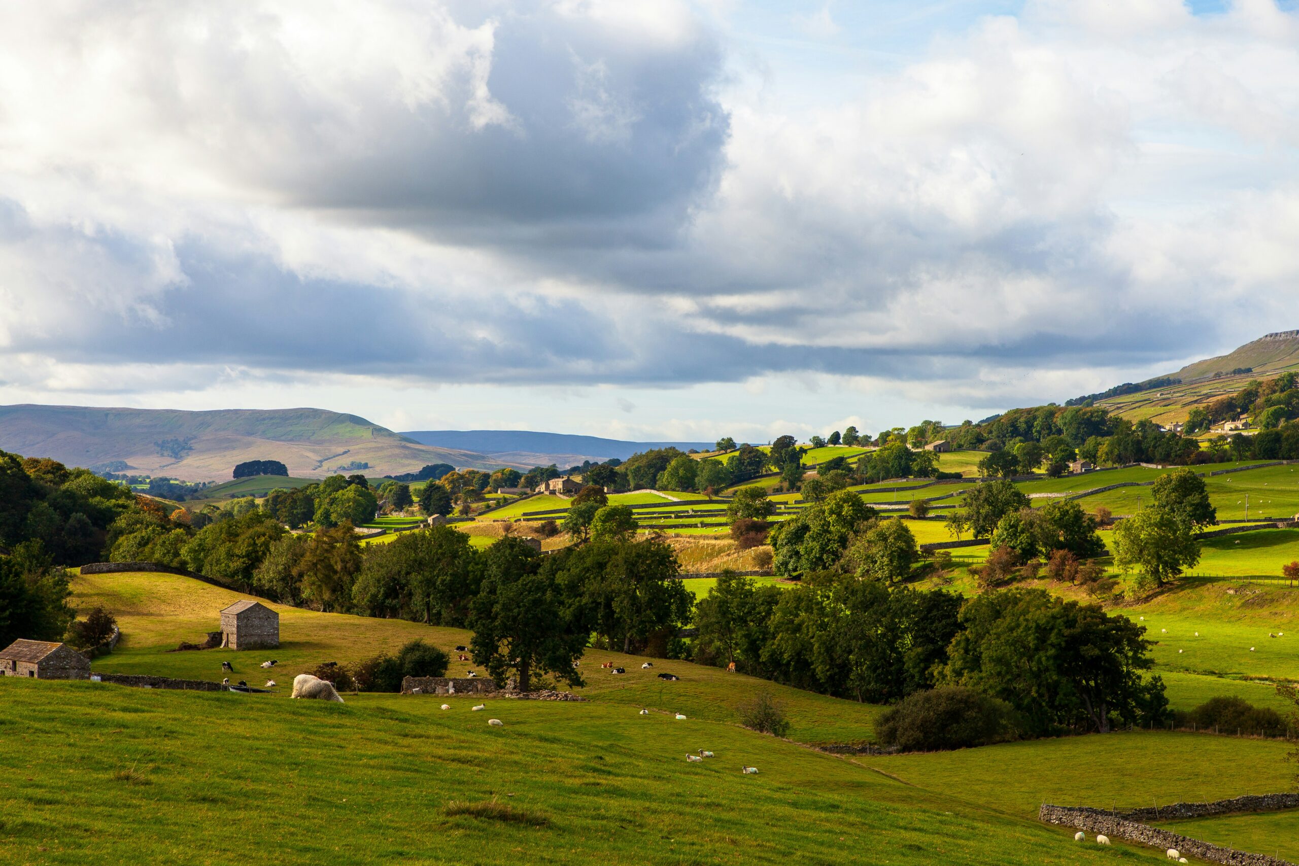 Letter: The future of our rural community - Common Senses Hudson Valley